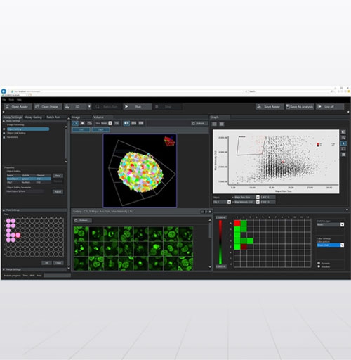 3D细胞分析软件 NoviSight