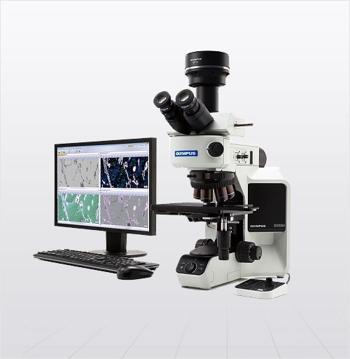 深圳正置金相显微镜 BX53M